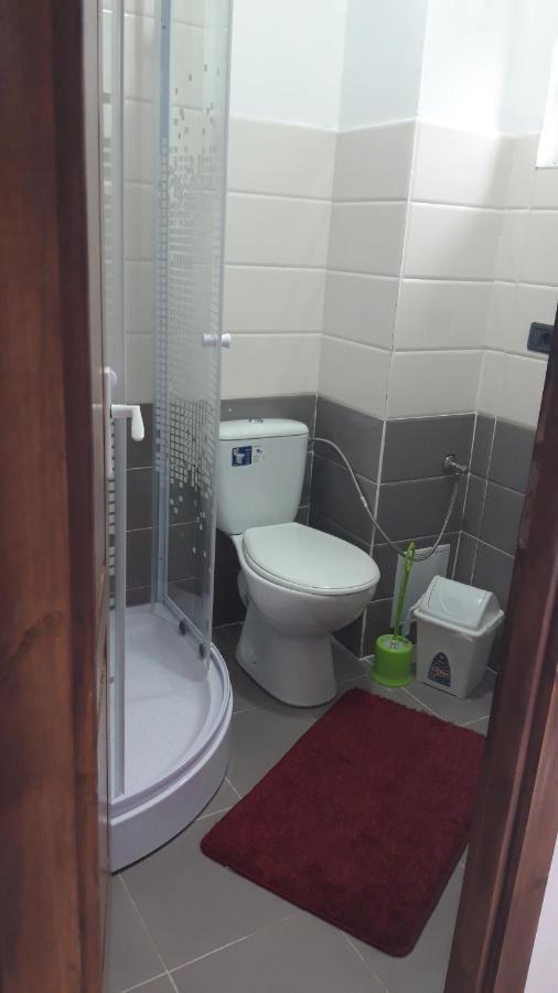 Casa Viorica Hotel Statjunea Borsa ภายนอก รูปภาพ