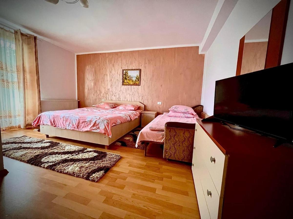 Casa Viorica Hotel Statjunea Borsa ภายนอก รูปภาพ
