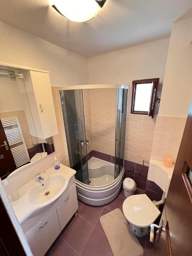 Casa Viorica Hotel Statjunea Borsa ภายนอก รูปภาพ