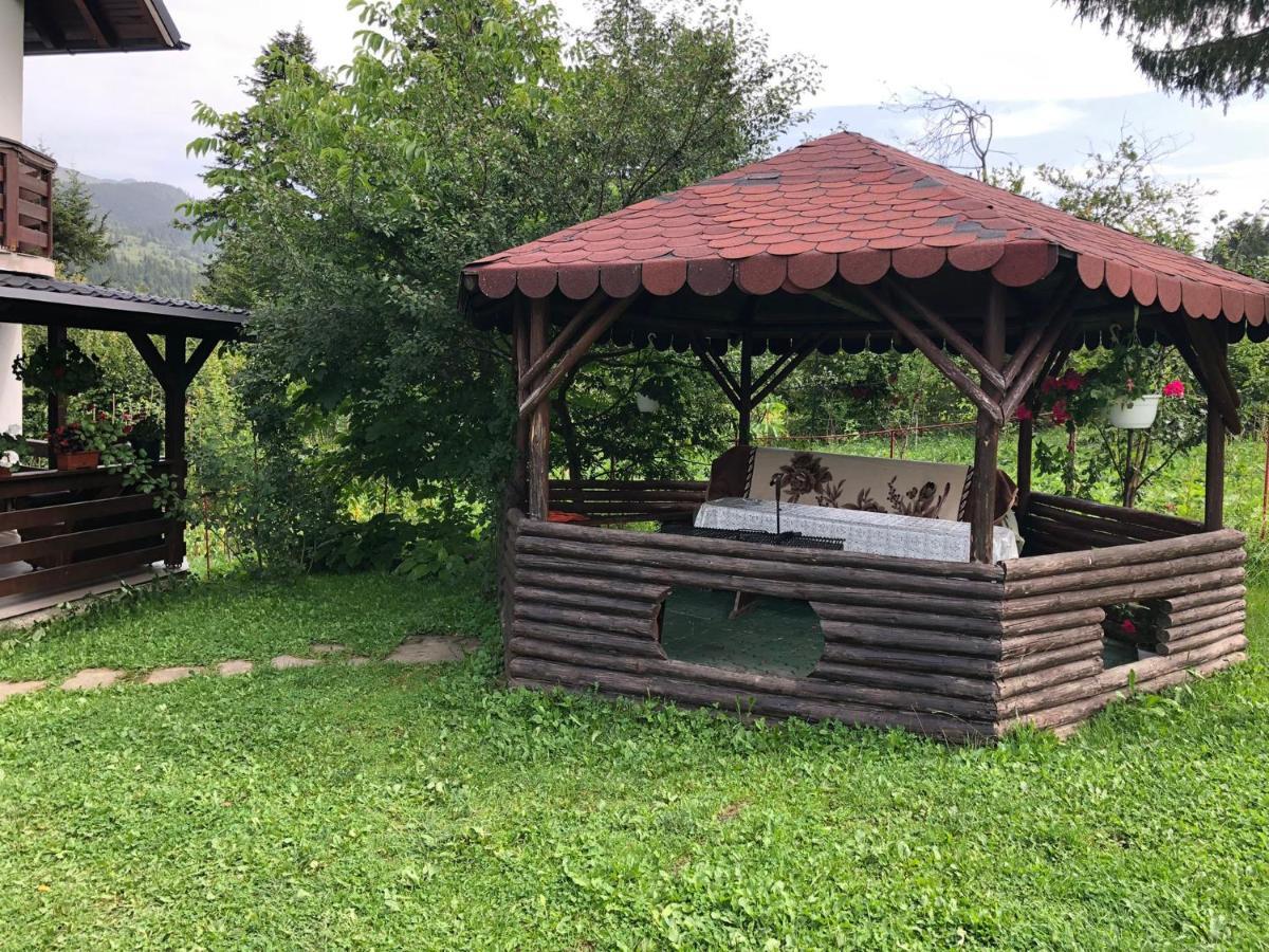 Casa Viorica Hotel Statjunea Borsa ภายนอก รูปภาพ