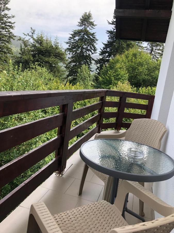 Casa Viorica Hotel Statjunea Borsa ภายนอก รูปภาพ