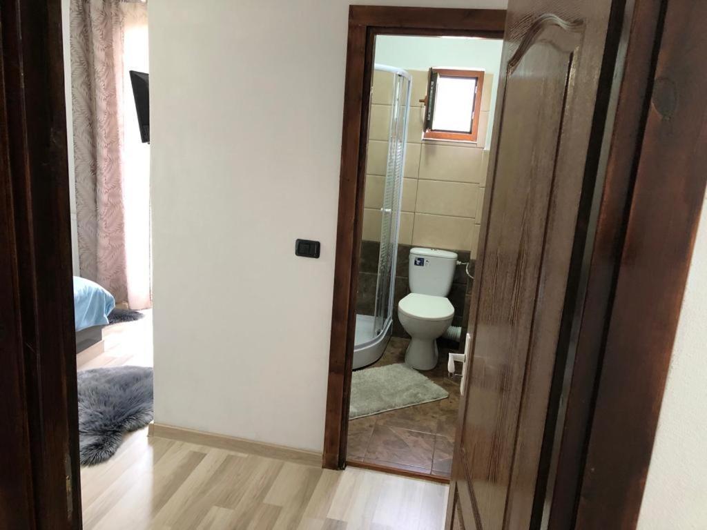 Casa Viorica Hotel Statjunea Borsa ภายนอก รูปภาพ